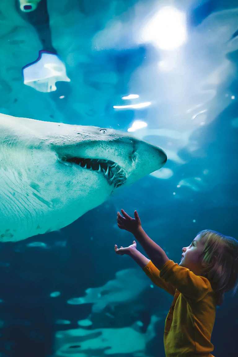 media.Gallery_Parchi_2Hotel_Madison_Rimini